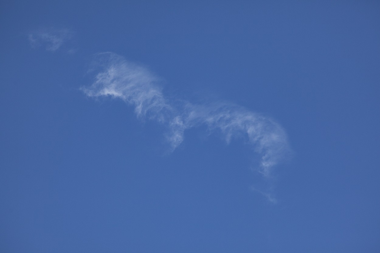 Bird Cloud