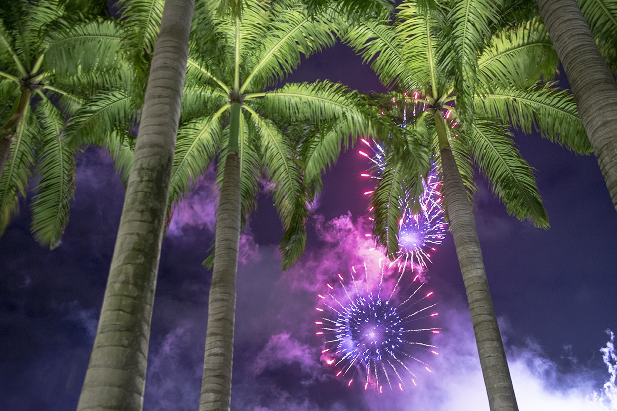 Purple Palm Sky